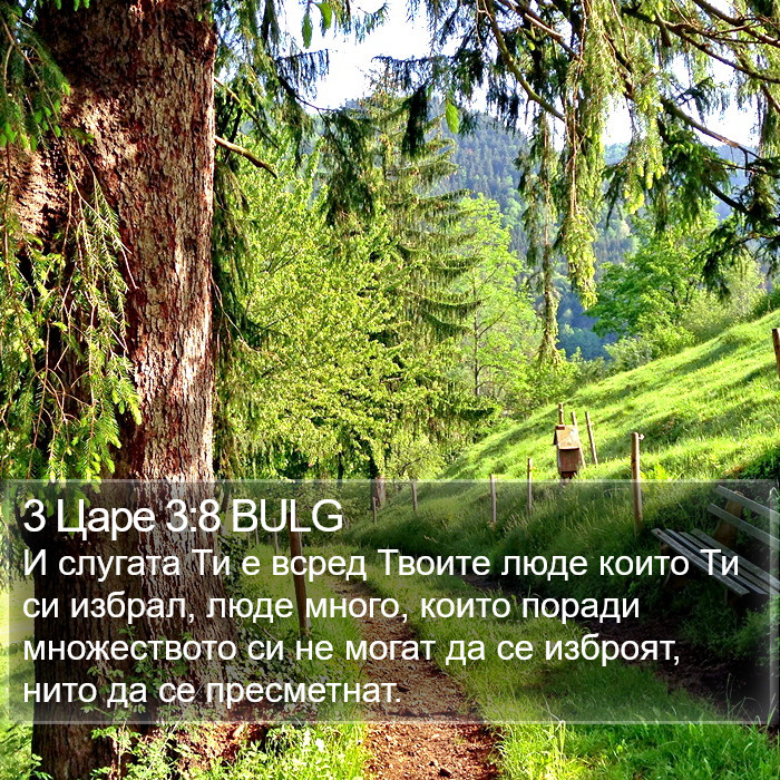 3 Царе 3:8 BULG Bible Study