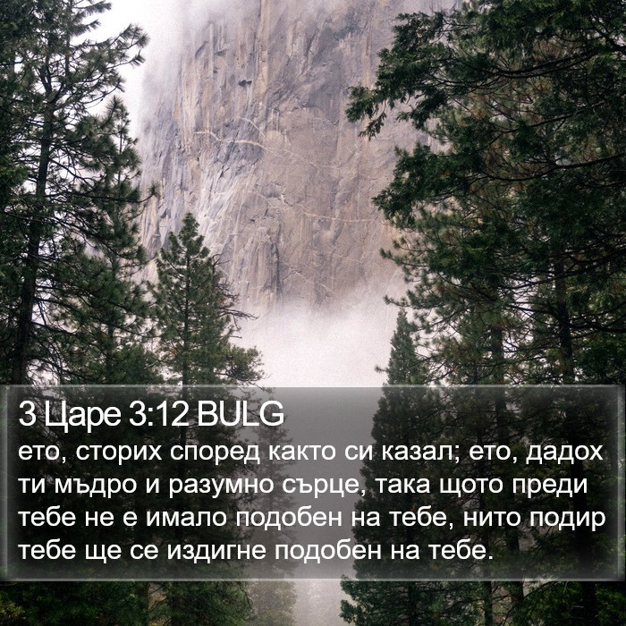 3 Царе 3:12 BULG Bible Study