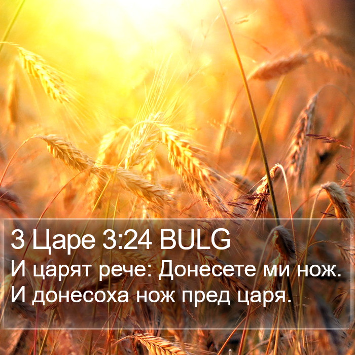 3 Царе 3:24 BULG Bible Study