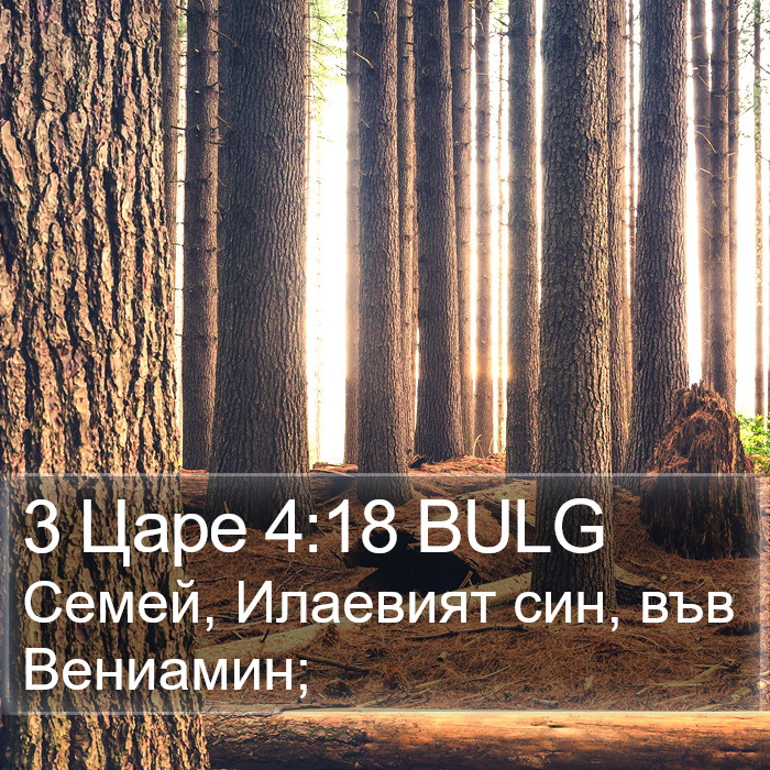 3 Царе 4:18 BULG Bible Study