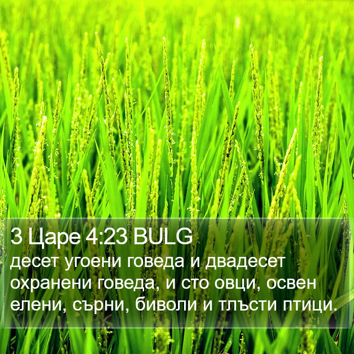 3 Царе 4:23 BULG Bible Study