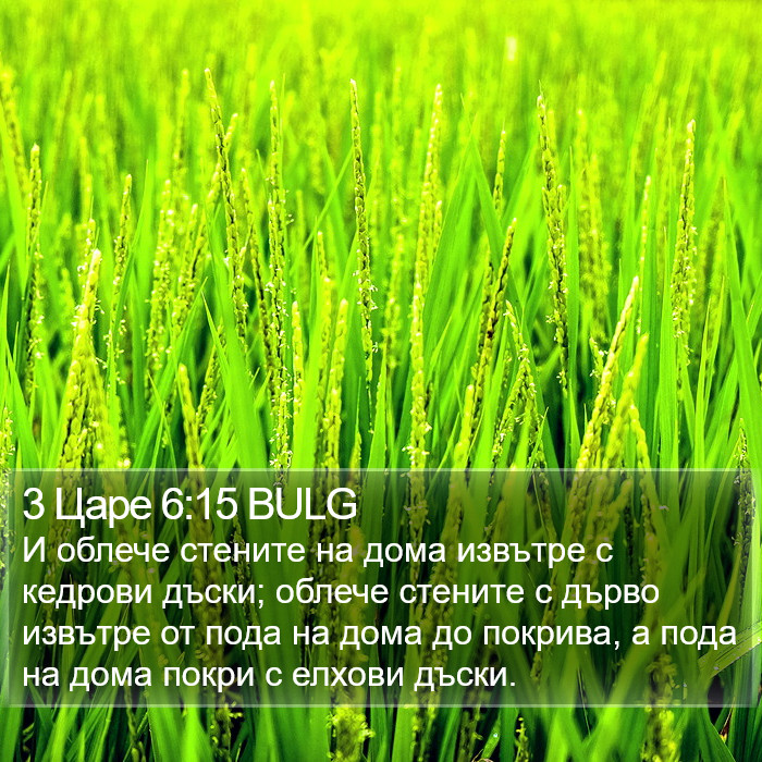 3 Царе 6:15 BULG Bible Study