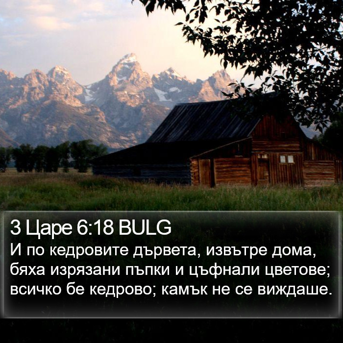 3 Царе 6:18 BULG Bible Study