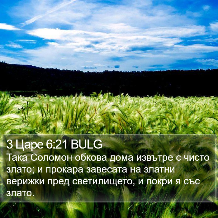 3 Царе 6:21 BULG Bible Study