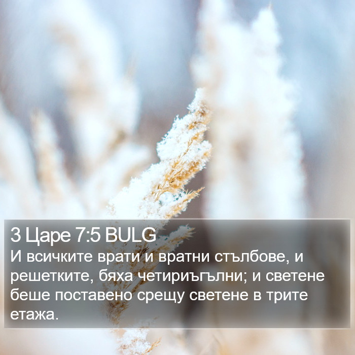 3 Царе 7:5 BULG Bible Study