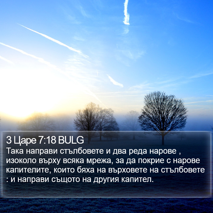 3 Царе 7:18 BULG Bible Study