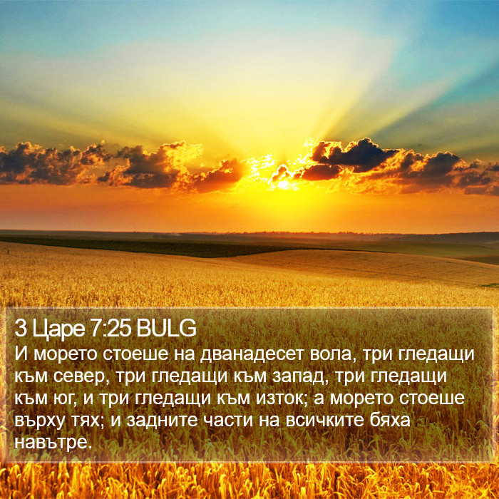 3 Царе 7:25 BULG Bible Study