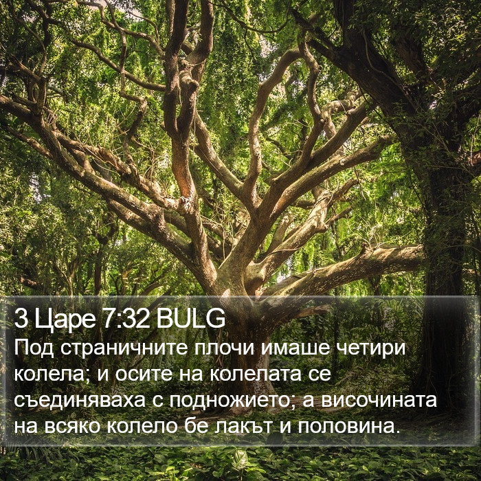 3 Царе 7:32 BULG Bible Study