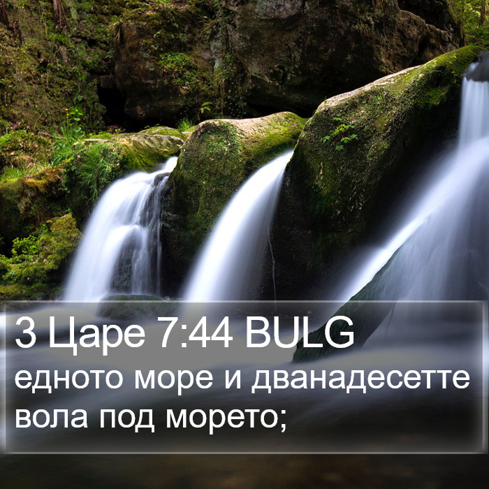 3 Царе 7:44 BULG Bible Study