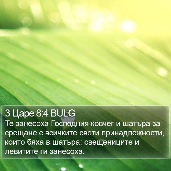 3 Царе 8:4 BULG Bible Study