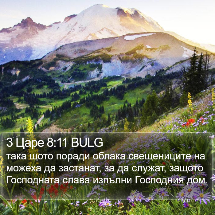 3 Царе 8:11 BULG Bible Study