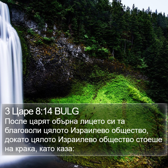 3 Царе 8:14 BULG Bible Study