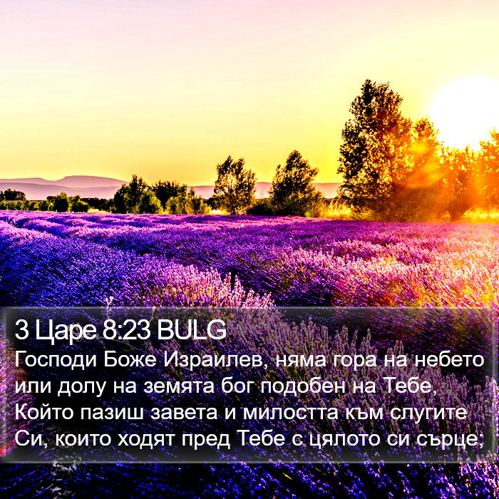 3 Царе 8:23 BULG Bible Study