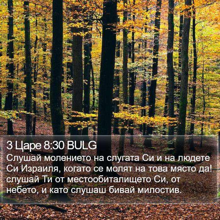 3 Царе 8:30 BULG Bible Study