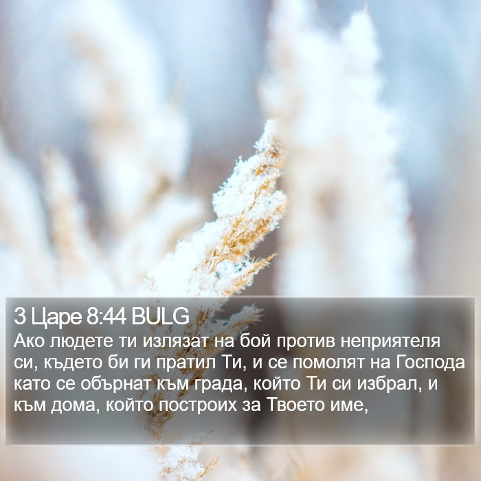 3 Царе 8:44 BULG Bible Study