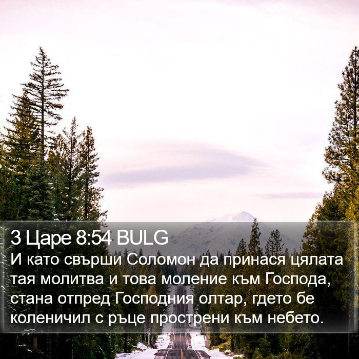 3 Царе 8:54 BULG Bible Study