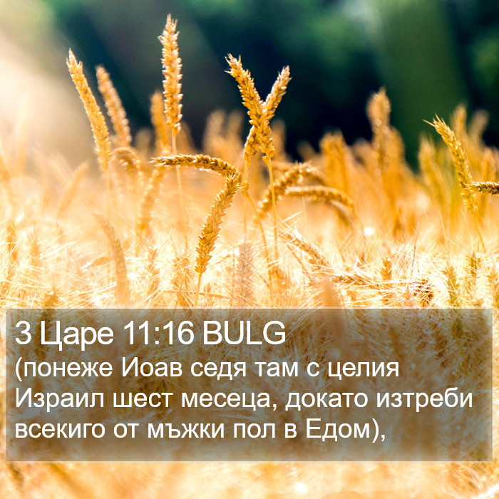 3 Царе 11:16 BULG Bible Study