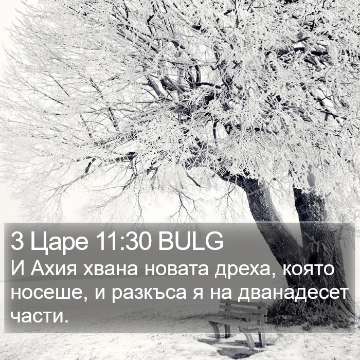 3 Царе 11:30 BULG Bible Study