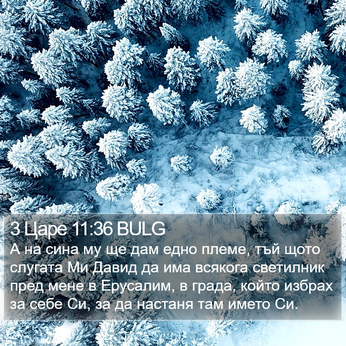 3 Царе 11:36 BULG Bible Study