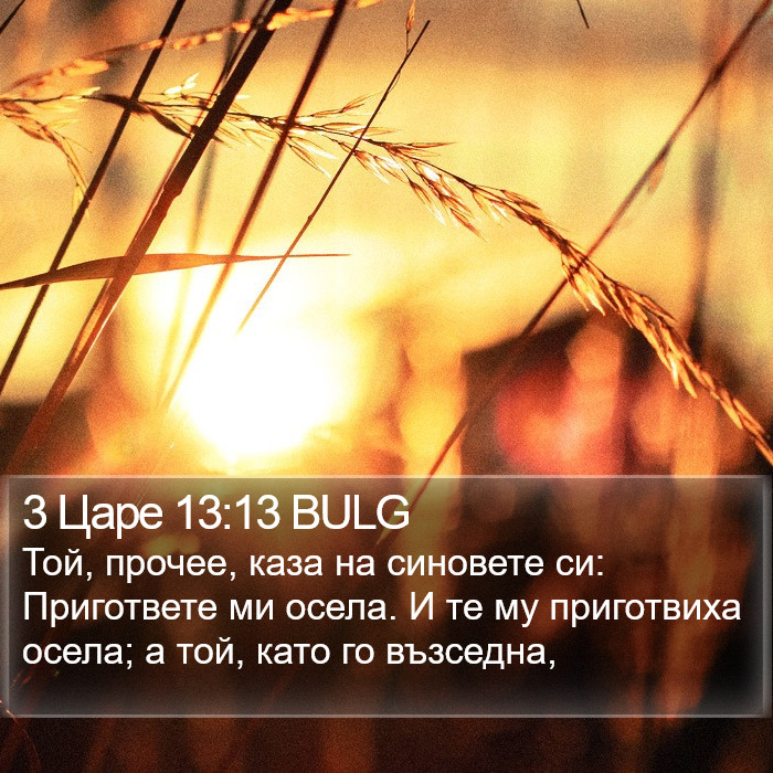 3 Царе 13:13 BULG Bible Study