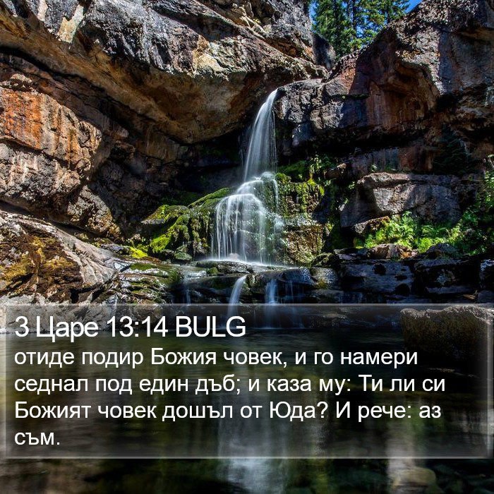 3 Царе 13:14 BULG Bible Study