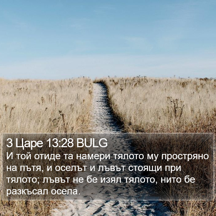 3 Царе 13:28 BULG Bible Study