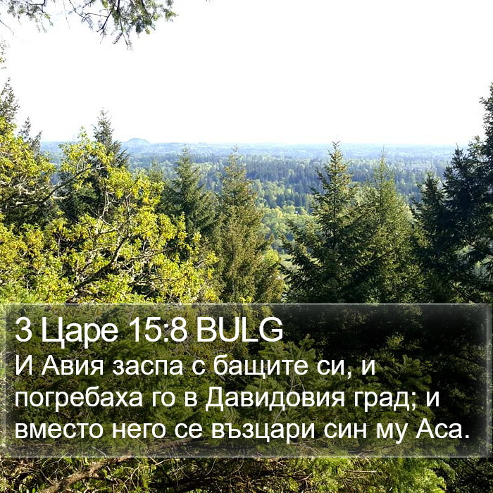 3 Царе 15:8 BULG Bible Study