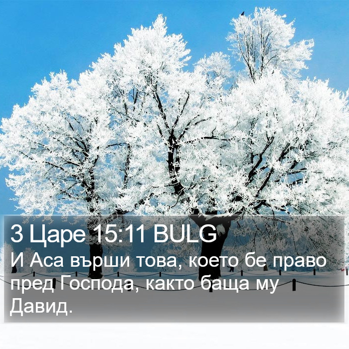 3 Царе 15:11 BULG Bible Study