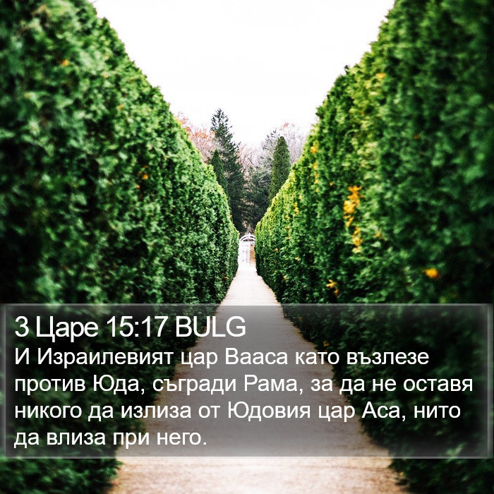 3 Царе 15:17 BULG Bible Study