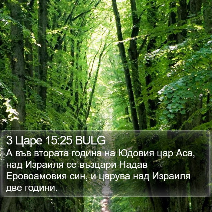 3 Царе 15:25 BULG Bible Study