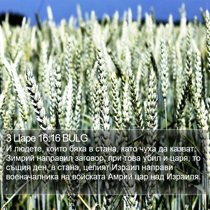 3 Царе 16:16 BULG Bible Study