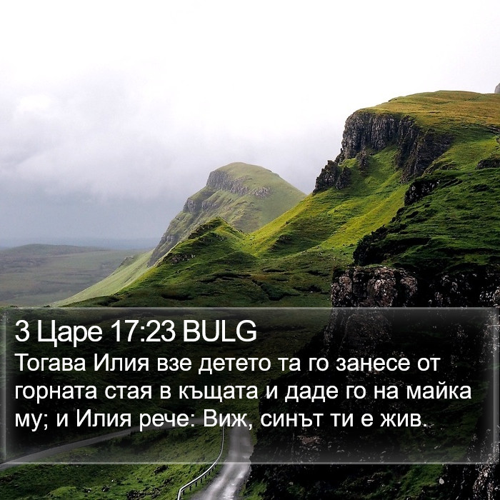 3 Царе 17:23 BULG Bible Study