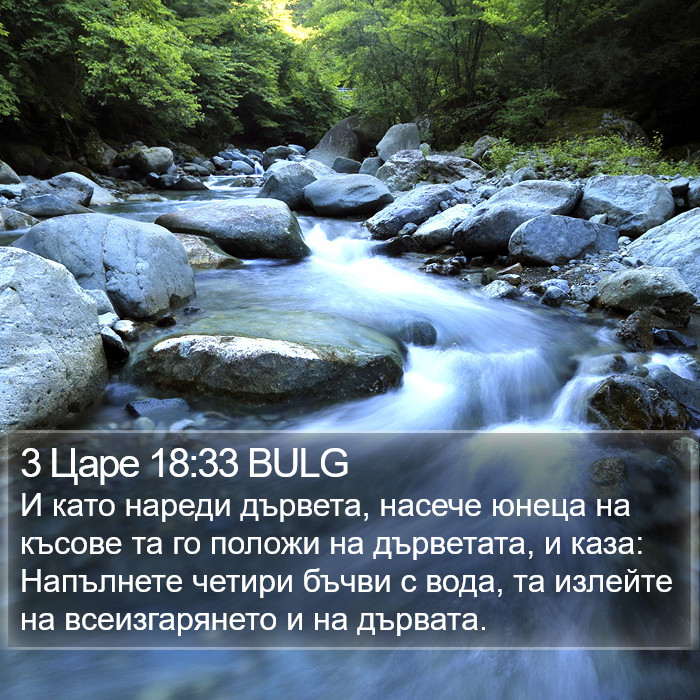 3 Царе 18:33 BULG Bible Study