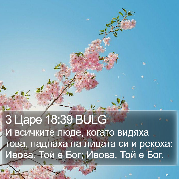 3 Царе 18:39 BULG Bible Study