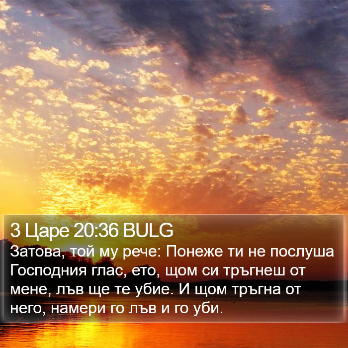 3 Царе 20:36 BULG Bible Study