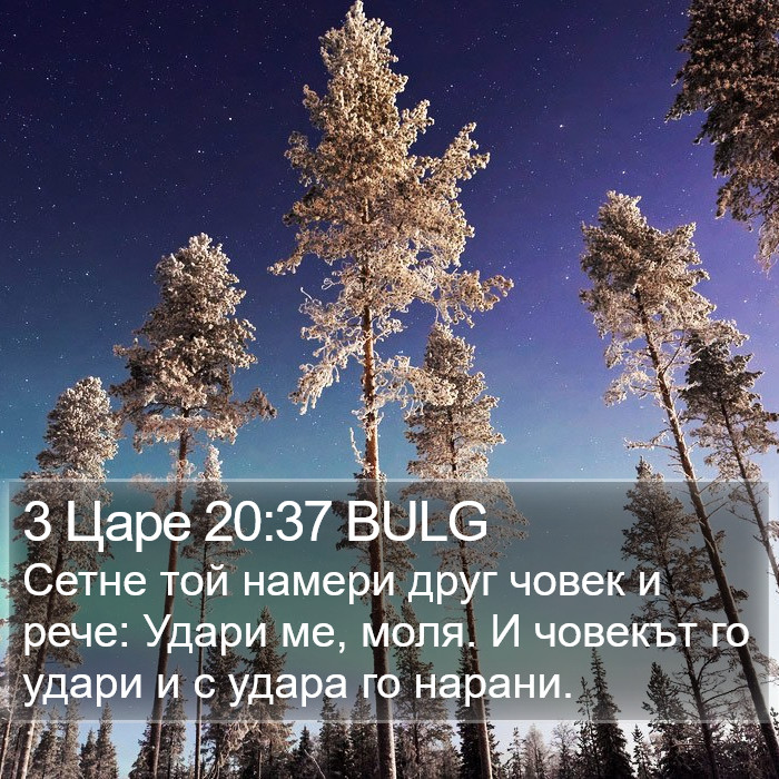 3 Царе 20:37 BULG Bible Study