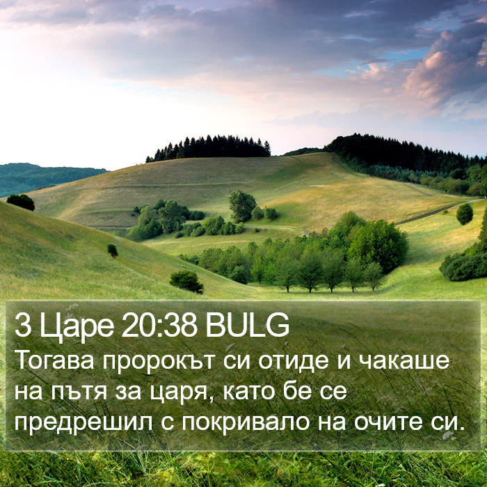 3 Царе 20:38 BULG Bible Study