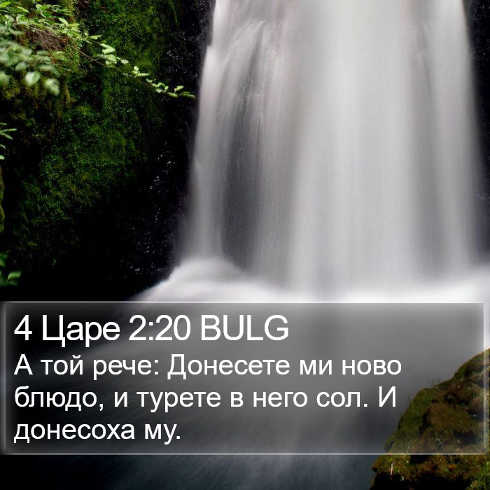 4 Царе 2:20 BULG Bible Study