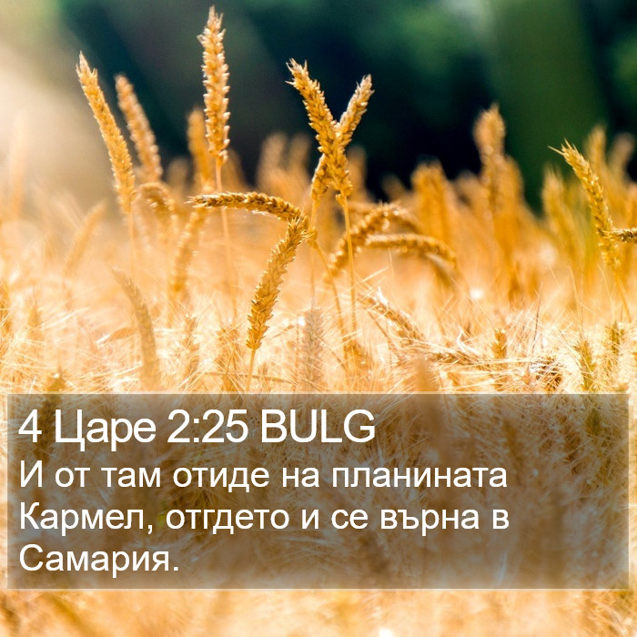 4 Царе 2:25 BULG Bible Study