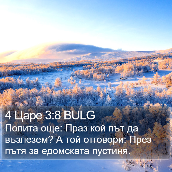 4 Царе 3:8 BULG Bible Study