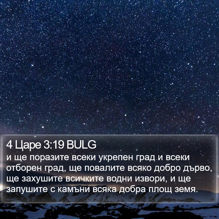 4 Царе 3:19 BULG Bible Study