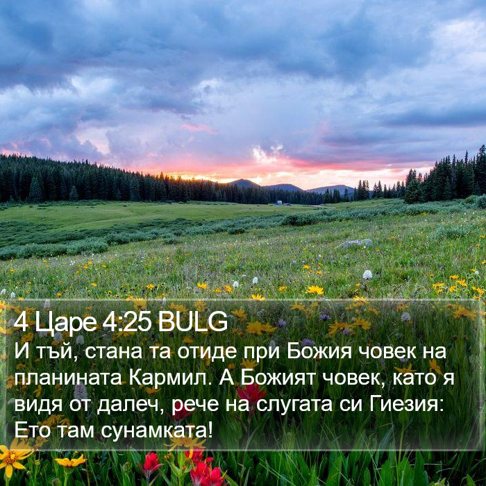 4 Царе 4:25 BULG Bible Study