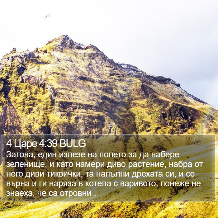 4 Царе 4:39 BULG Bible Study