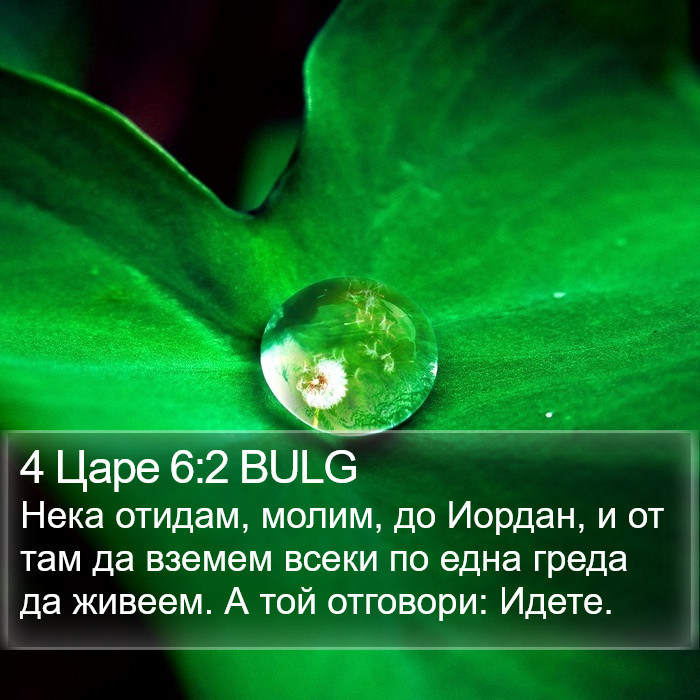 4 Царе 6:2 BULG Bible Study