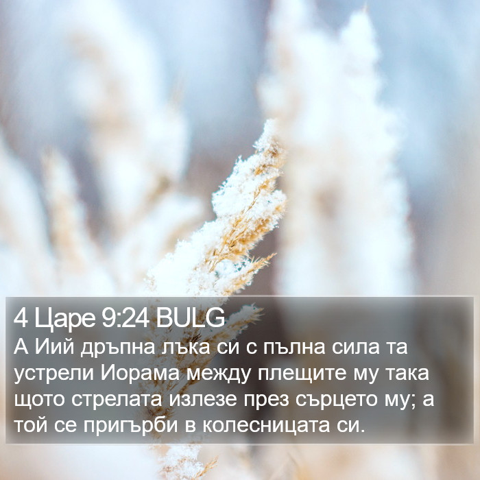 4 Царе 9:24 BULG Bible Study