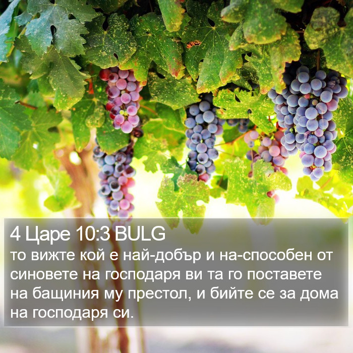 4 Царе 10:3 BULG Bible Study