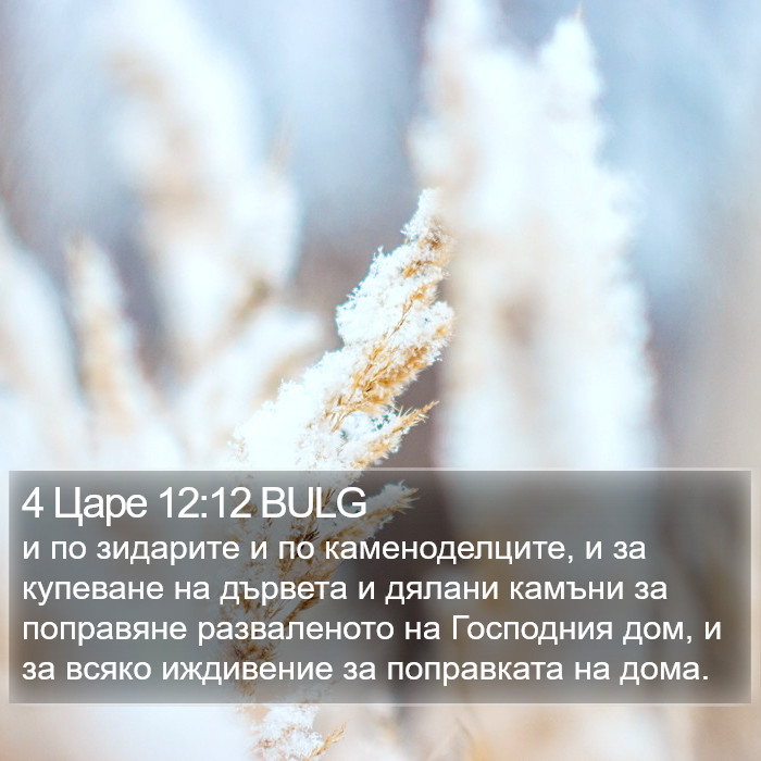 4 Царе 12:12 BULG Bible Study