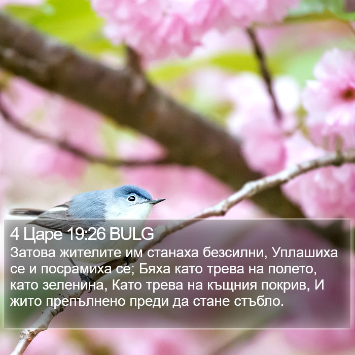 4 Царе 19:26 BULG Bible Study