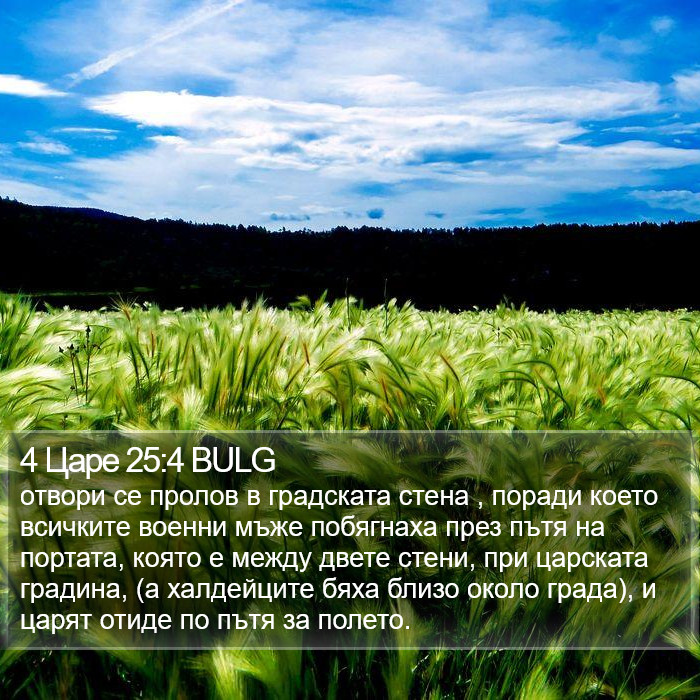 4 Царе 25:4 BULG Bible Study