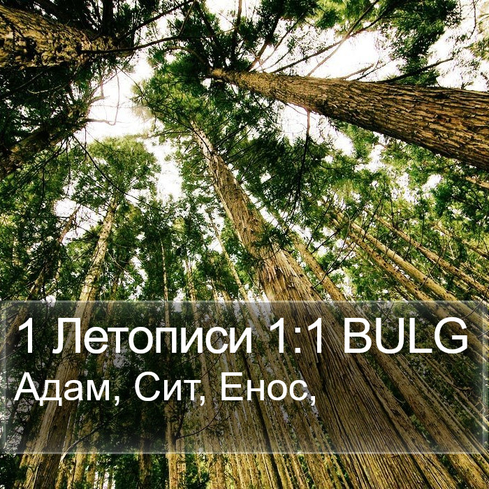 1 Летописи 1:1 BULG Bible Study